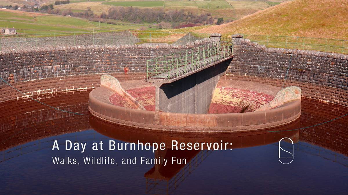 A Day at Burnhope Reservoir: Walks, Wildlife, and Family Fun